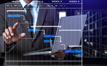 Detailed Asset Assessment